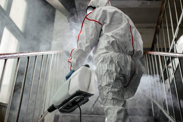 Professional Mold Removal in Blackfoot, ID